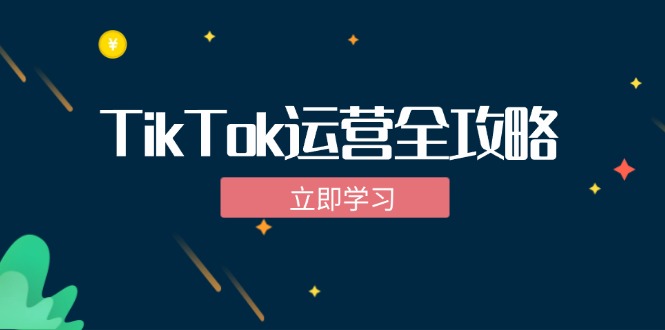 TikTok实战运营全攻略：从下载软件到变现，抖音海外版实操教程-藏宝湾资源网