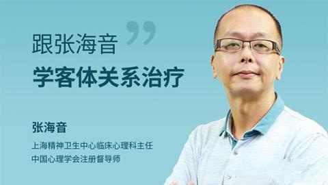 跟张海音学客体关系治疗 网络课程10讲高清视频-藏宝湾资源网