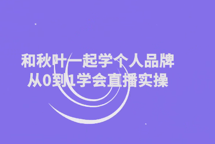 和秋叶一起学个人品牌从0到1学会直播实操-藏宝湾资源网