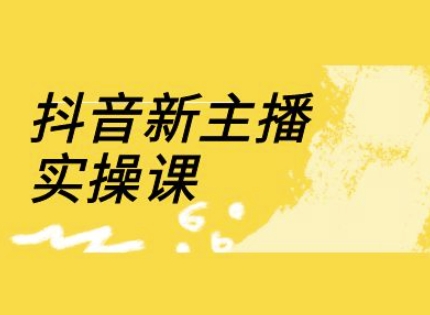抖音新主播实操课，直播间流量运营线上实操课(18节)-藏宝湾资源网