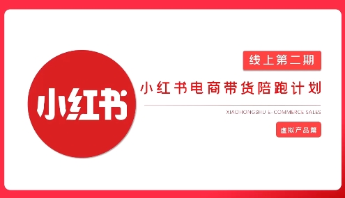 2025小红书虚拟电商实战课，从0到1打造无货源店铺，AI+爆款笔记轻松变现-藏宝湾资源网