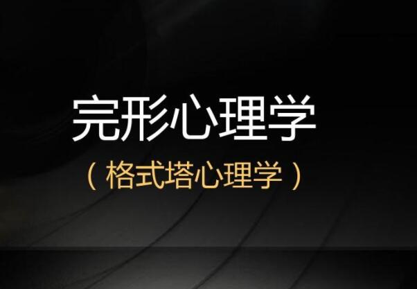 叶斌 格式塔 完形心理治疗入门62讲-藏宝湾资源网