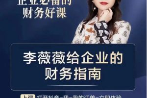 李薇薇给企业的财务指南-老板财务总监高管必看-藏宝湾资源网