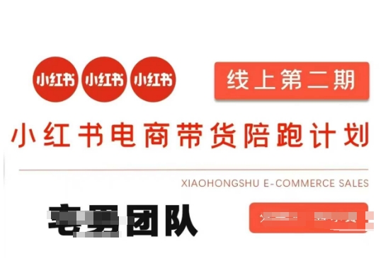 小红书电商带货课2期，月利润20个的小红书电商的有货源，无货源，虚拟产品，付费投流等整套玩法-藏宝湾资源网