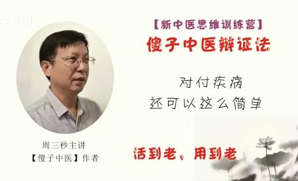 周三秒新中医思维训练营系列课暨傻子中医辩证法-藏宝湾资源网