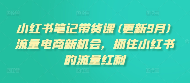 张宾小红书笔记带货课(更新25年3月)流量电商新机会，抓住小红书的流量红利-藏宝湾资源网