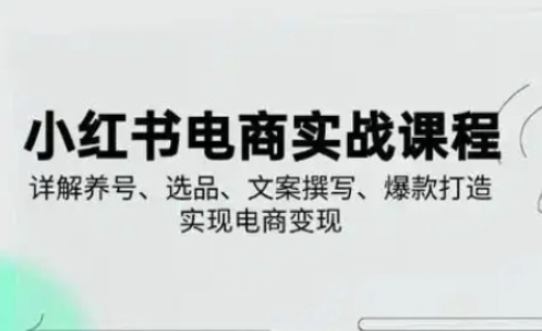 小红书从0-1实操课2025养号、选品、文案撰写、爆款打造实现电商变现-藏宝湾资源网