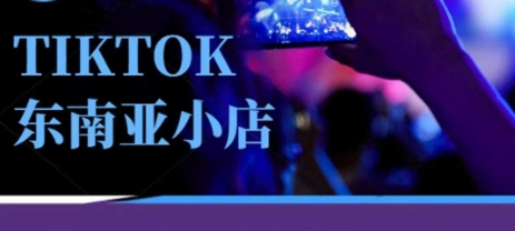 Tiktok东南亚跨境小店运营班，一门专业的TK小店运营培训课-藏宝湾资源网