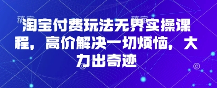 淘宝付费玩法无界实操课程，高价解决一切烦恼，大力出奇迹-藏宝湾资源网